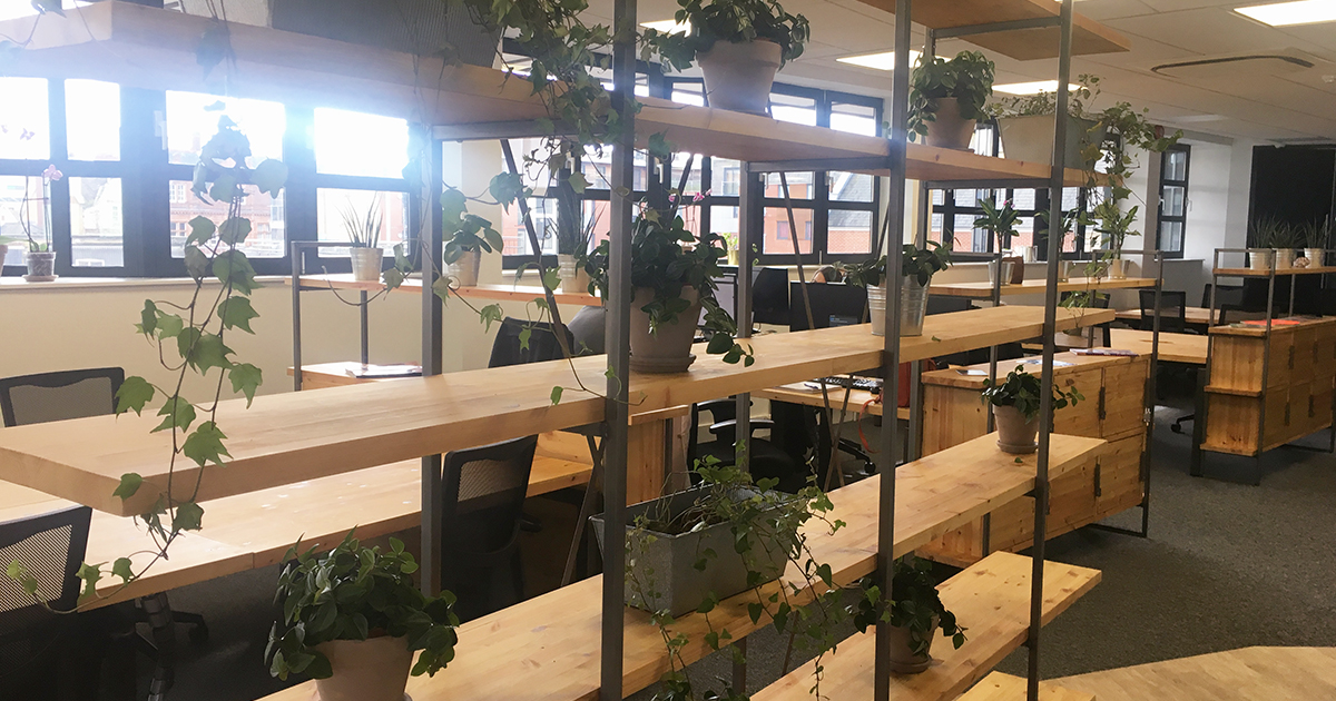 Green Coworking spaces are creating a more eco-friendly workplace | SO