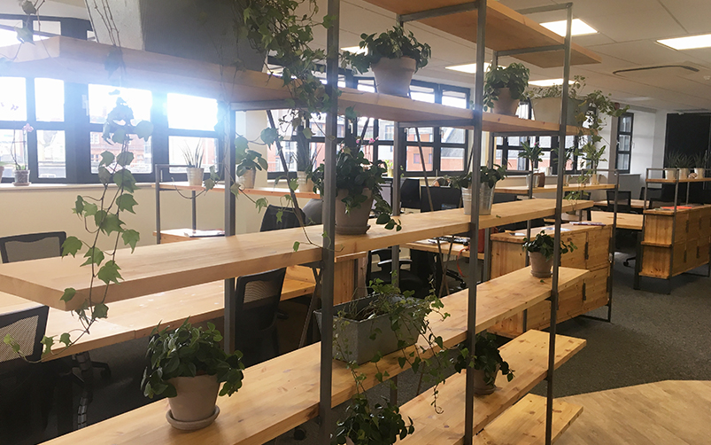 Green Coworking spaces are creating a more eco-friendly workplace